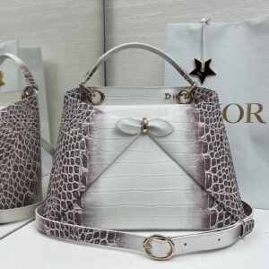 Dior Bag Style 238679278