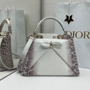 Dior Bag Style 238679323