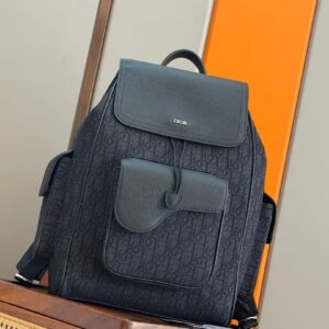Dior Bag Style 238679386