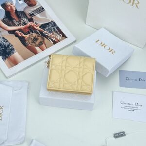 Dior Bag Style S0178