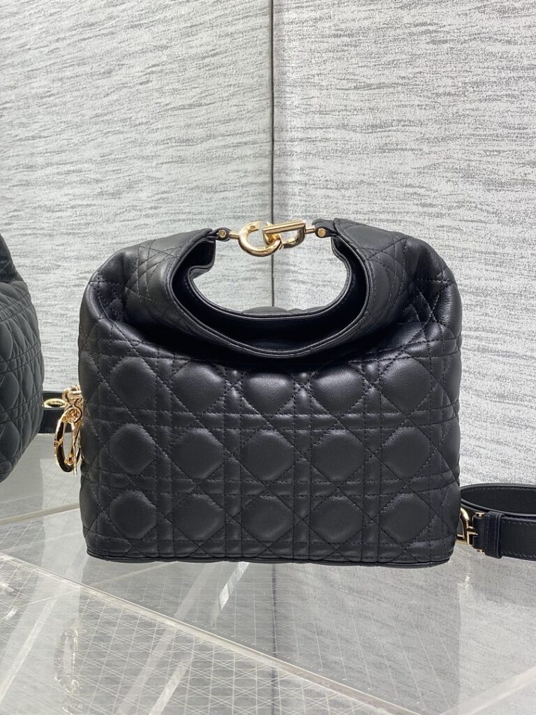 Dior Bag Style 240463085