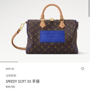 Louis Vuitton Bag Style M29143