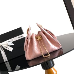 Chanel Bag Style AS5631