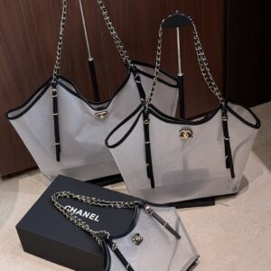 Chanel Bag Style AS5463