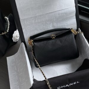 Chanel Bag Style AS6255