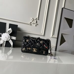 Chanel Bag Style A01116