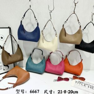 Hermes Bag Style 6667