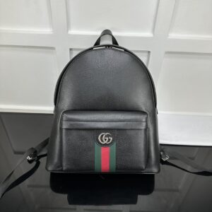 Gucci Bag Style 834466